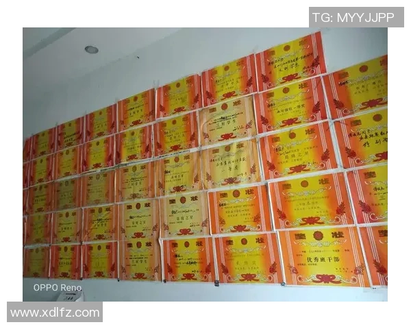 熊孩子追逐梦想与足球明星的奇妙邂逅与成长故事